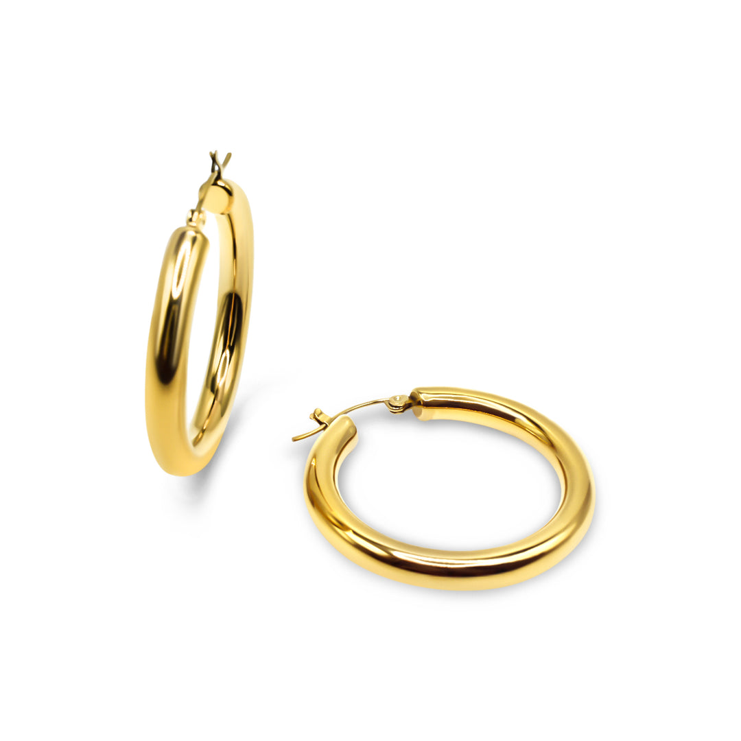 Small Hoop Earrings Ringz & Tingz Jewels